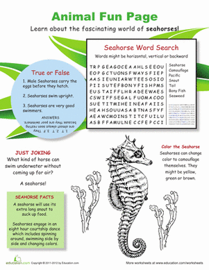 Swim with the Seahorses