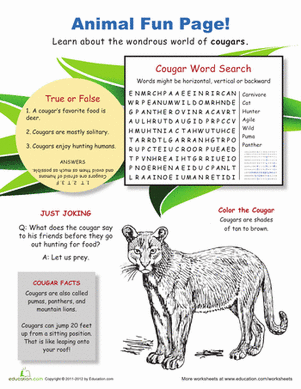 Fun with Cougars
