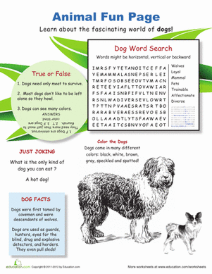 All About Dogs
