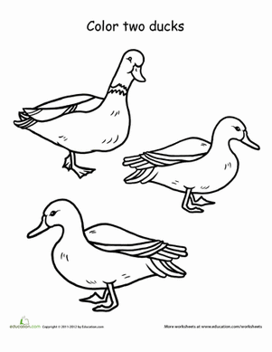 Color Two Ducks