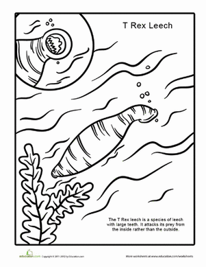T Rex Leech Coloring