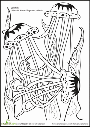 Jellyfish Joy Coloring Page