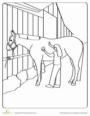 Groomed Horse Coloring Page