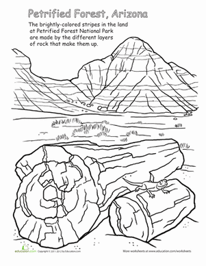 National Parks: Petrified Forest