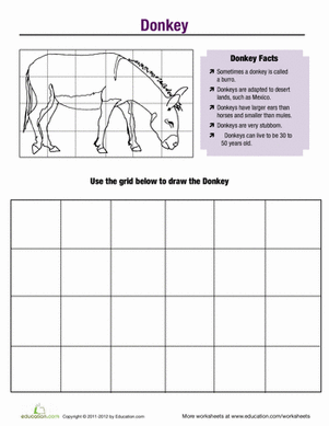 Horse Fun: Donkey