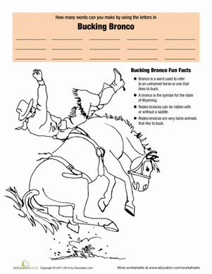 Horse Fun: Bronco