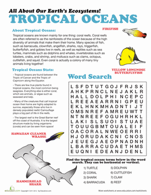 Tropical Ocean Ecosystem