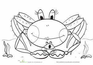 Color the Sea Crab