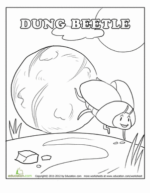 Beetle Coloring Page