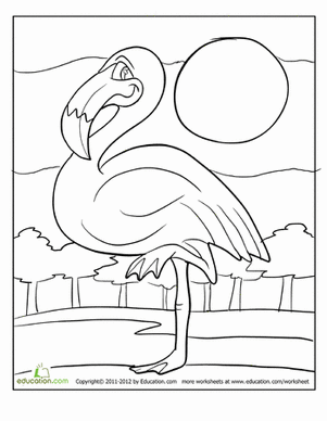 Flamingo Coloring Page