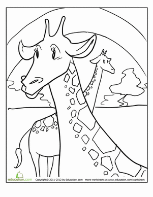 Giraffe Coloring