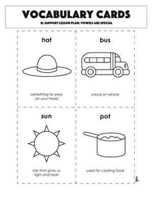 Vocabulary Cards: Vowels Are Special