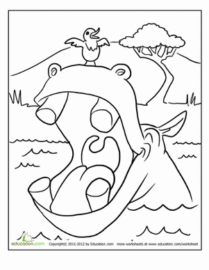 Hippo Coloring