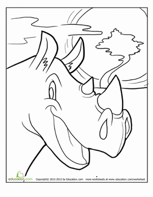 Rhino Coloring