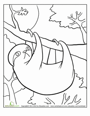 Sloth Coloring Page