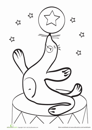 Circus Seal
