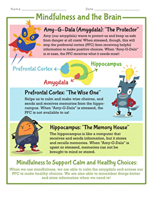 Mindfulness and the Brain