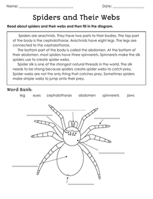 Spiders and Their Webs