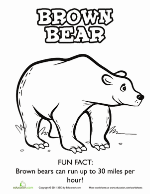 Brown Bear Coloring Page
