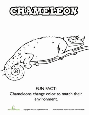 Chameleon Coloring