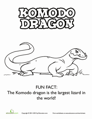 Komodo Dragon Coloring Page