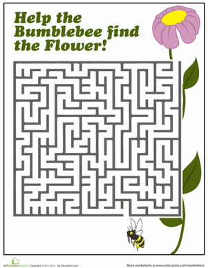 Bumblebee Maze