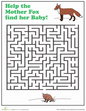 Fox Maze