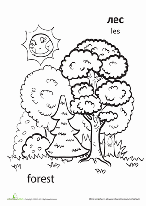 "Forest"  in Russian
