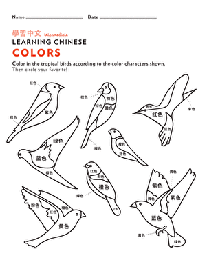 Learn Chinese: Color the Tropical Birds