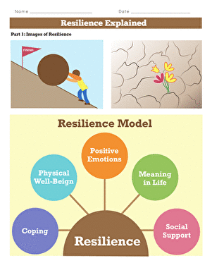 Resilience Explained