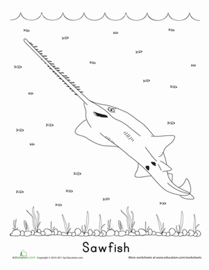 Sawfish Coloring Page