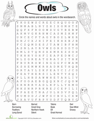 Owl Word Search