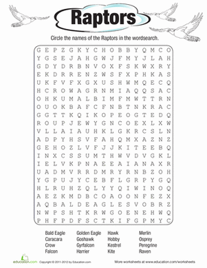 Raptors Word Search