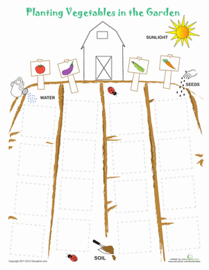 Plant a Vegetable Garden