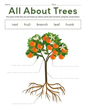 All About Trees