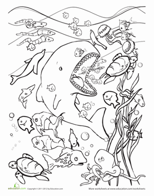 Hungry Whale Coloring Page