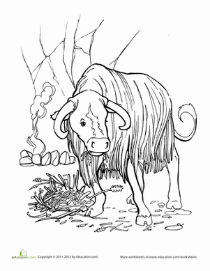Munching Cow Coloring Page