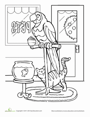 Pet Shop Coloring Page
