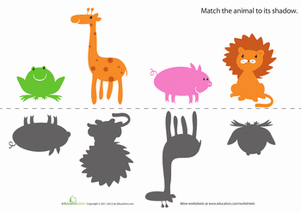 Animal Shapes