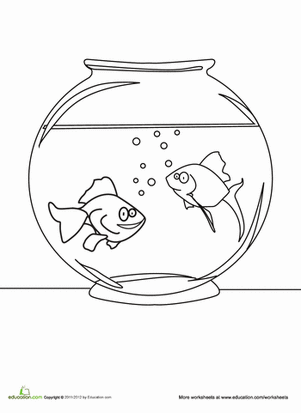 Color a Fish Bowl
