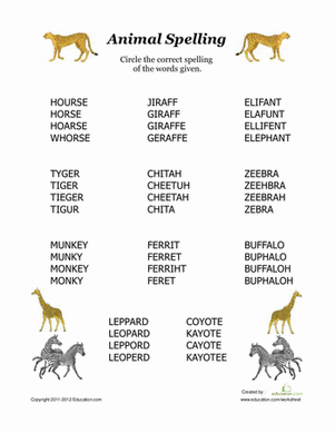 Animal Spelling