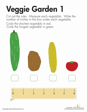 Measuring Length: Veggies