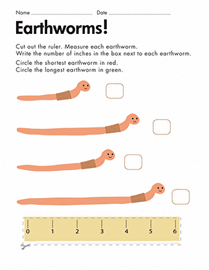 Measuring Length: Earthworms