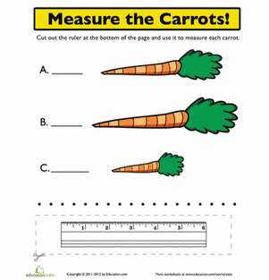 Ruler Measurements: Measure the Carrots