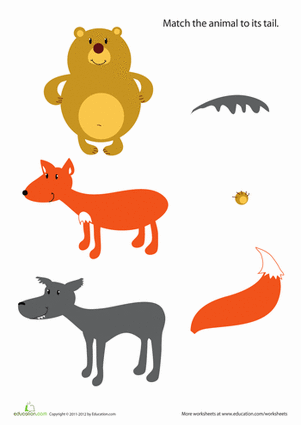 Animal Tails For Kids #4