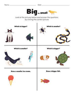 Big vs. Small