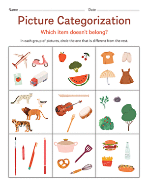 Picture Categorization