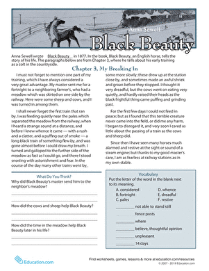 Reading Comprehension: Black Beauty