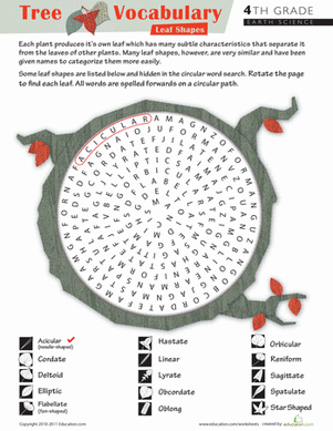 Take on Tree Terms: Word Search #2