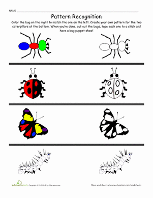 Patterns and Colors: Bugs!
